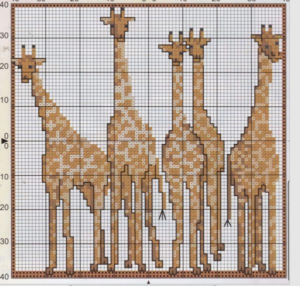 Giraffen
