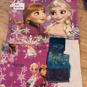 P54 1.40 x 2.00 Anna & Elsa