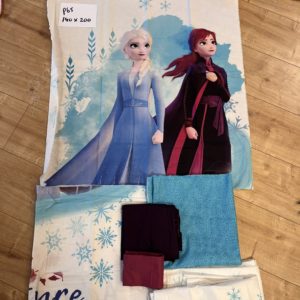 P65 1.40 x 2.00 Elsa & Anna