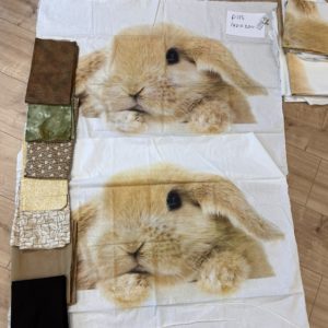 P113 1.40 x 2.00 Konijn