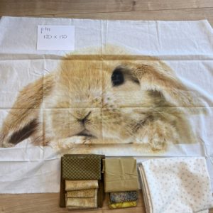 P141 120 x 150 Konijn